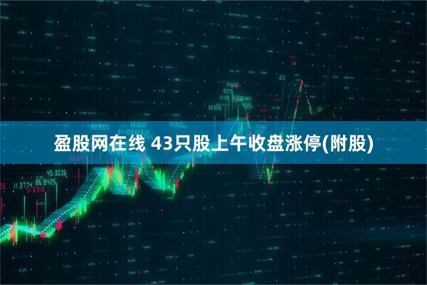 盈股网在线 43只股上午收盘涨停(附股)
