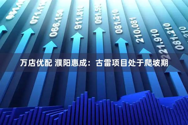 万店优配 濮阳惠成：古雷项目处于爬坡期