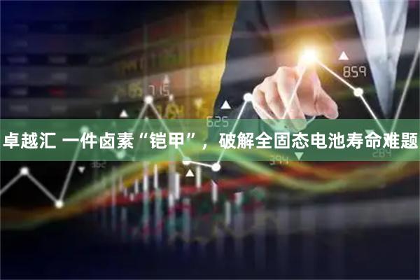 卓越汇 一件卤素“铠甲”，破解全固态电池寿命难题