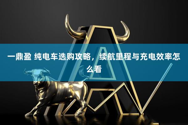 一鼎盈 纯电车选购攻略，续航里程与充电效率怎么看