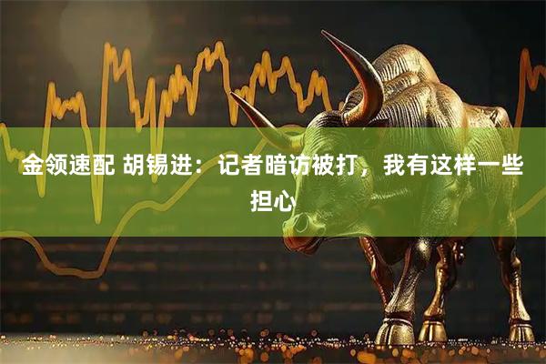 金领速配 胡锡进:记者暗访被打,我有这样一些担心
