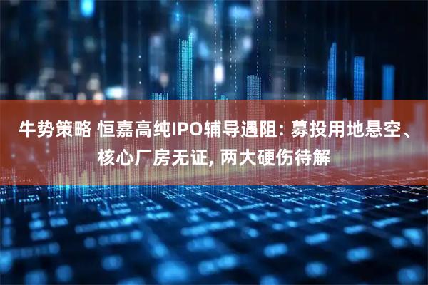 牛势策略 恒嘉高纯IPO辅导遇阻: 募投用地悬空、核心厂房无证, 两大硬伤待解