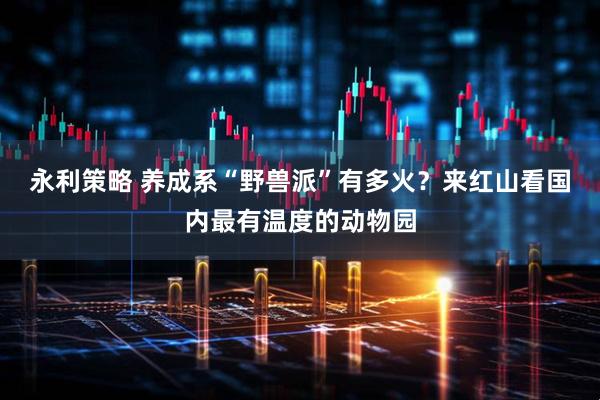 永利策略 养成系“野兽派”有多火？来红山看国内最有温度的动物园