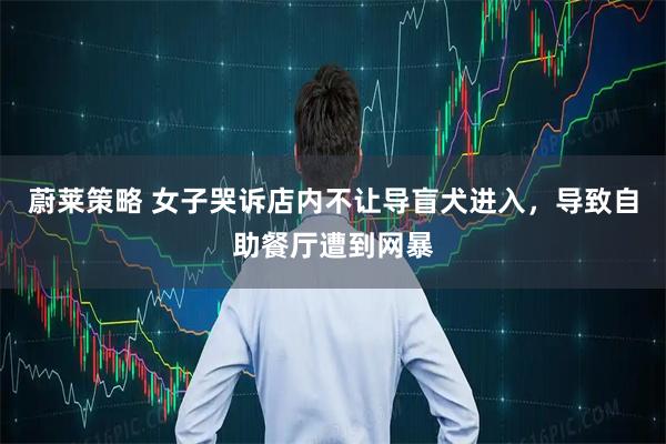 蔚莱策略 女子哭诉店内不让导盲犬进入，导致自助餐厅遭到网暴