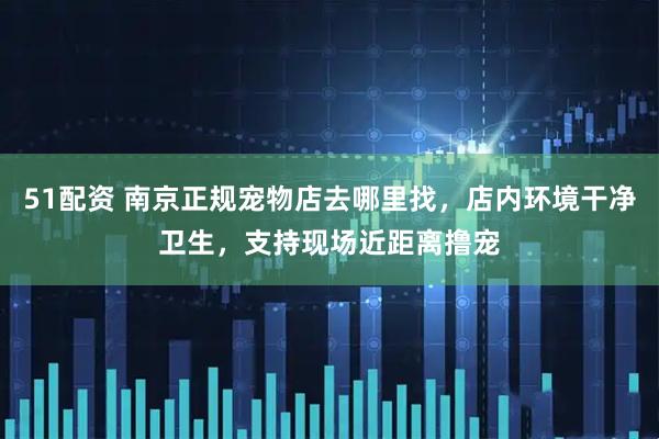 51配资 南京正规宠物店去哪里找，店内环境干净卫生，支持现场近距离撸宠